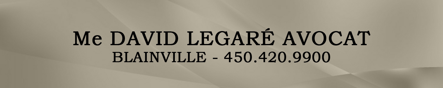 Me David Legaré avocat
