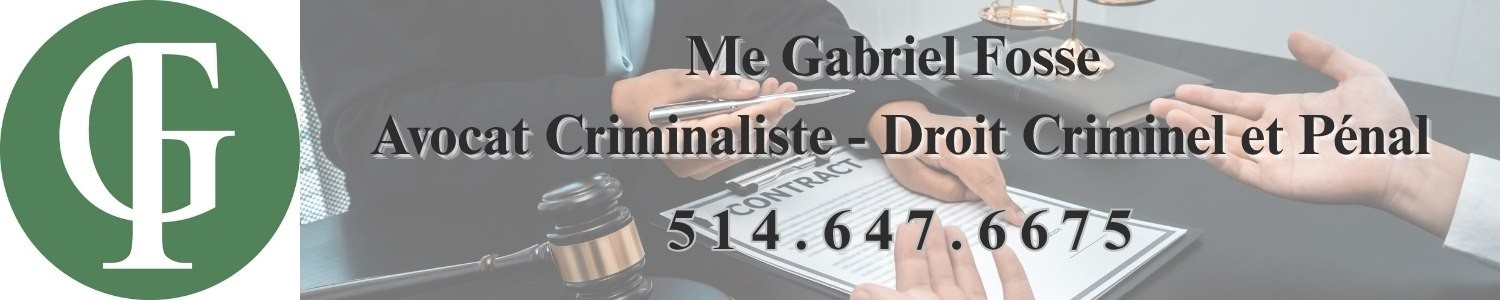 droit-criminel-penal