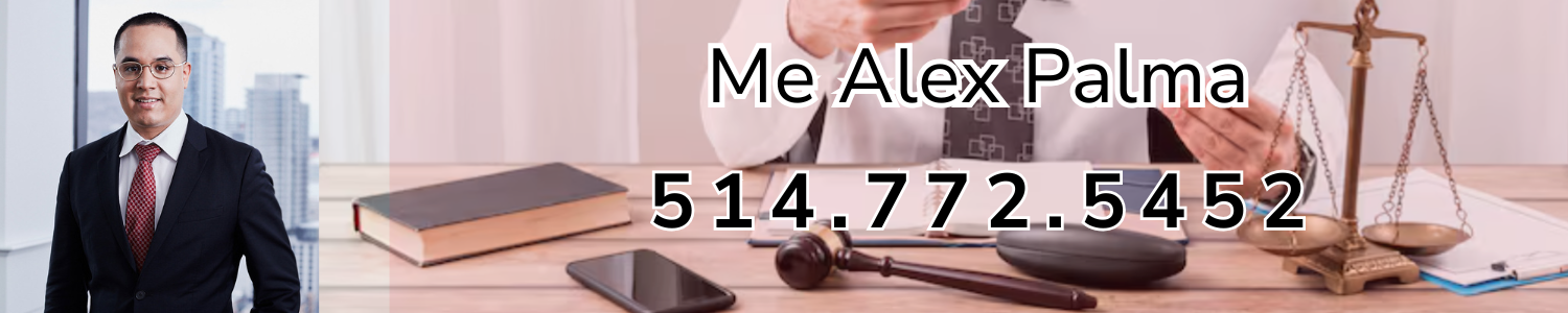 Me Alex Palma - Avocat Droit Criminel