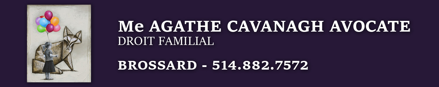 Agathe Cavanagh Avocate - Droit familial 