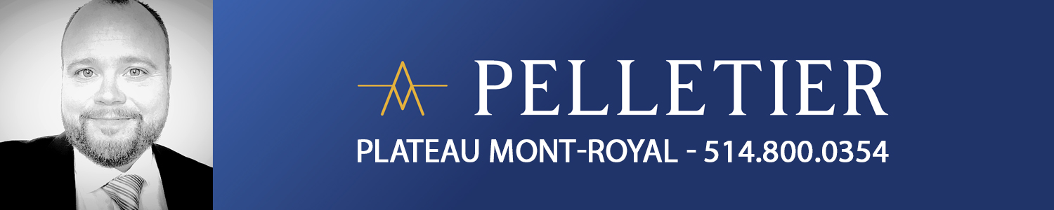 Martin Pelletier, Avocat